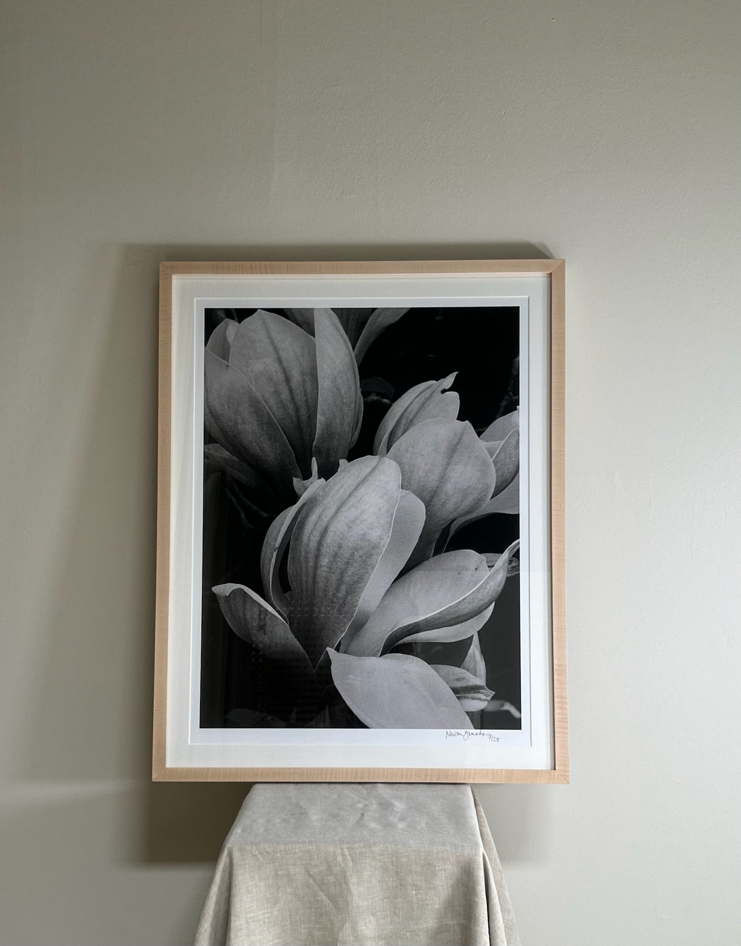 Magnolia Blossom I