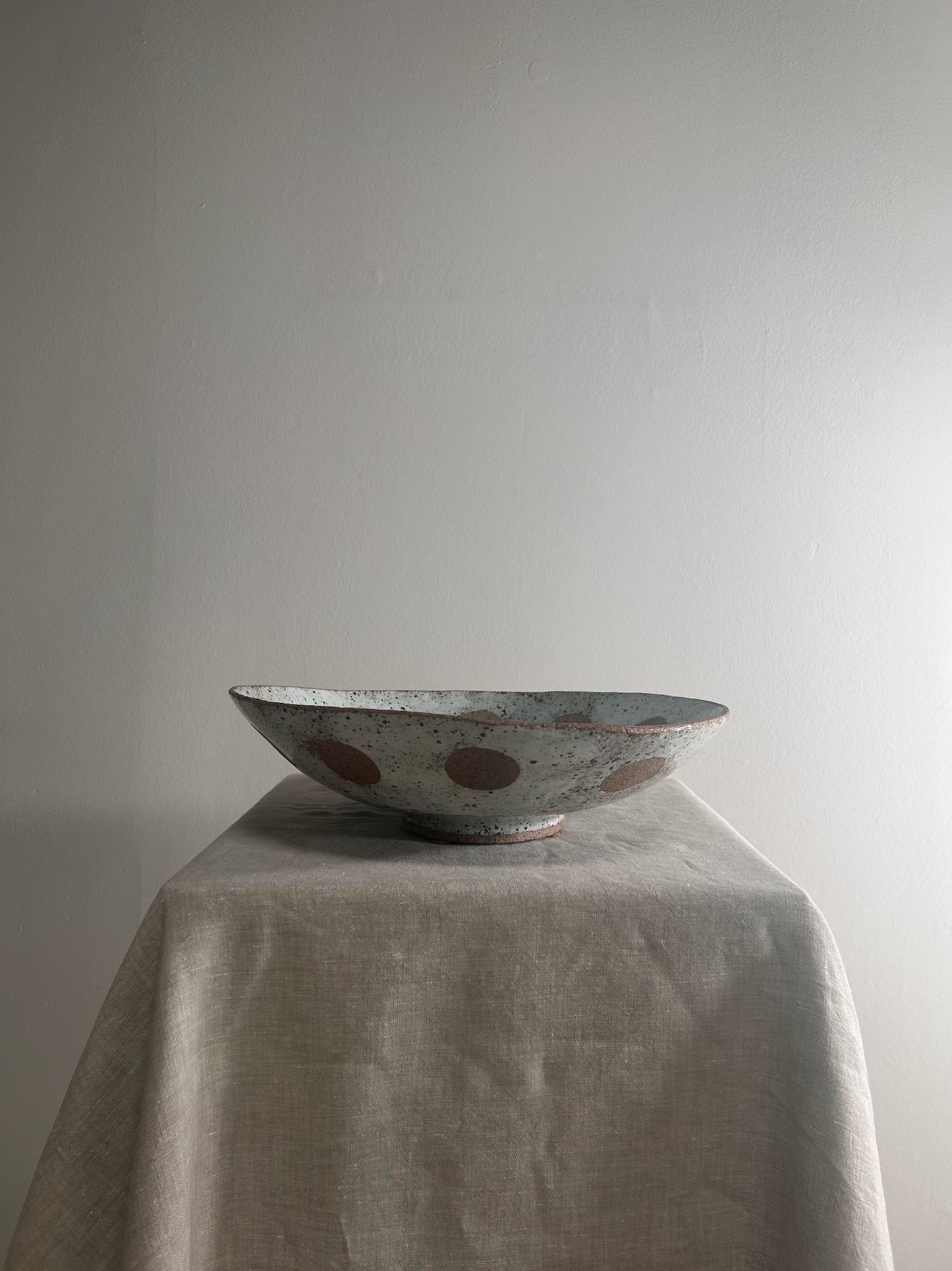 Speckled Circle Bowl