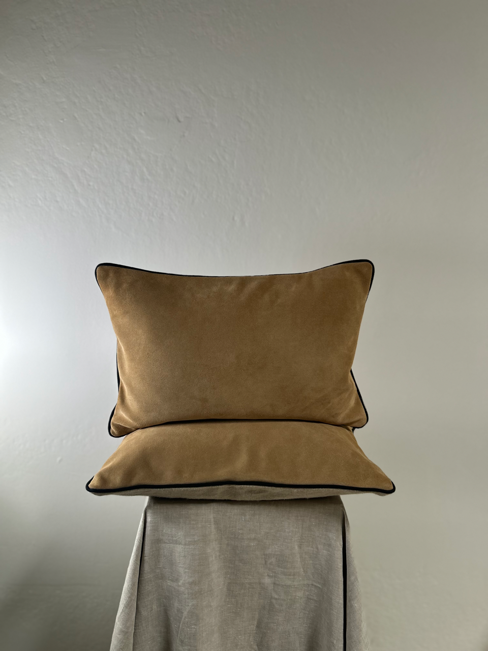 Suede Pillow With Trim Edge