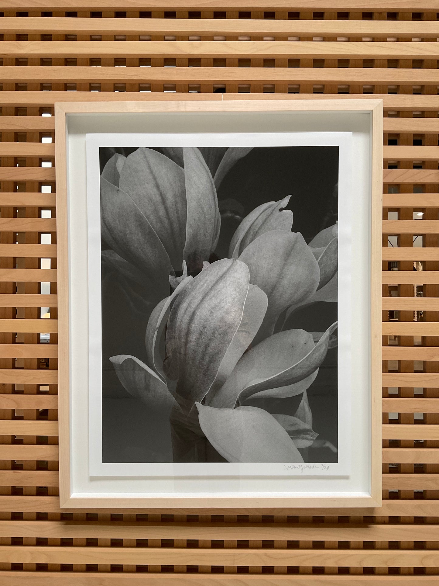 Naomi Yamada, Magnolia Blossom I