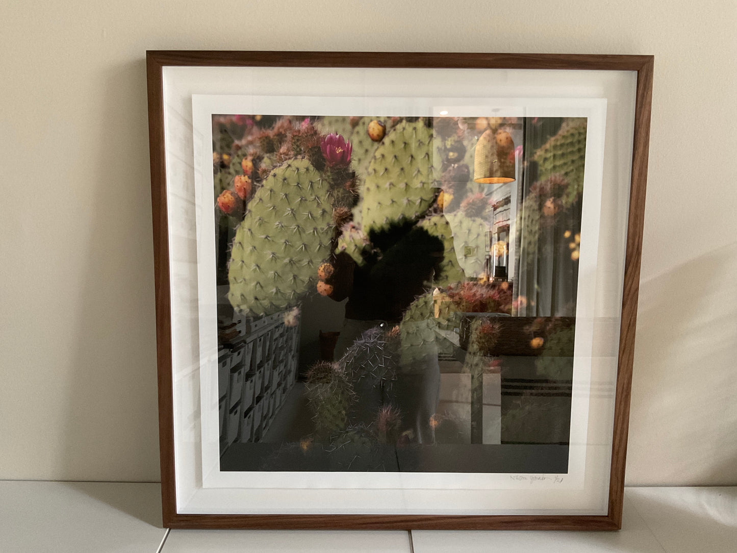 Naomi Yamada, Morning in Big Sur