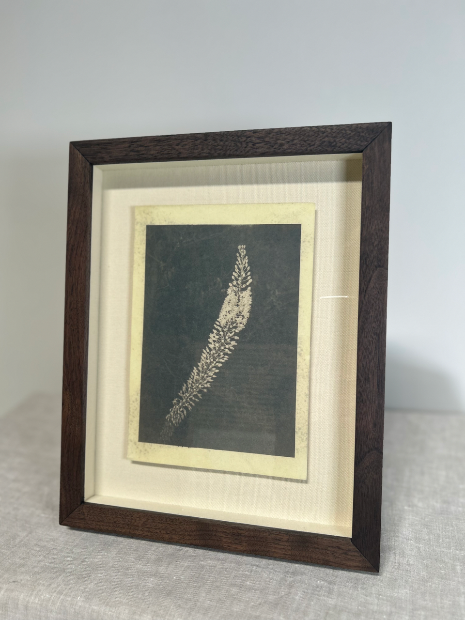 Trace of the Wild, Formentera