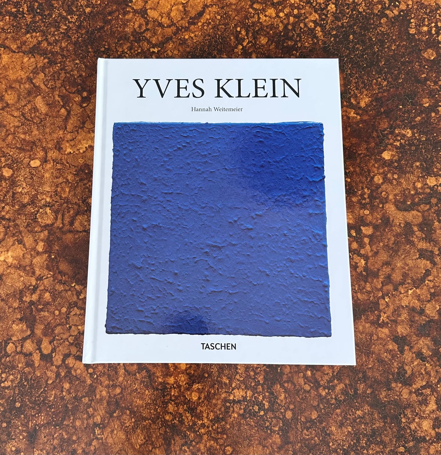 Yves Klein Book