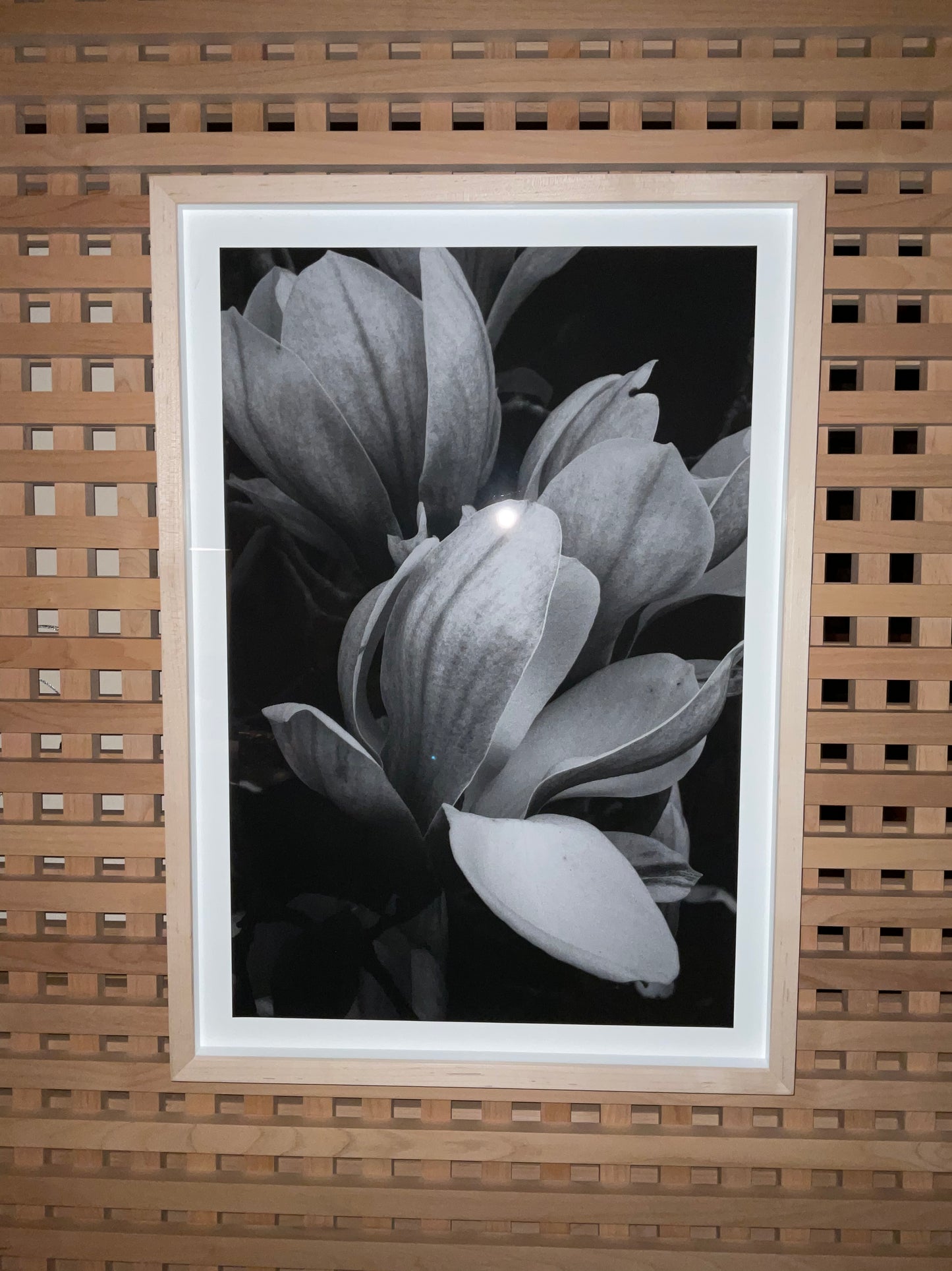 Naomi Yamada, Magnolia Bloom