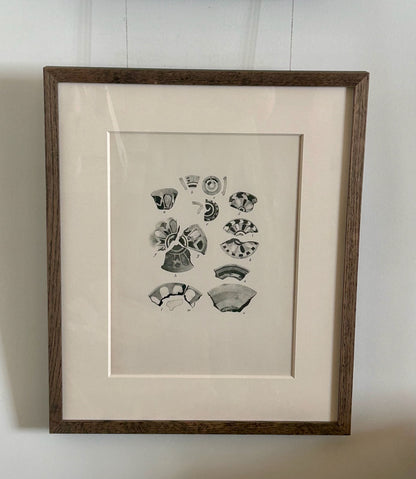 Vintage Artifact Book Pages Pair, Framed