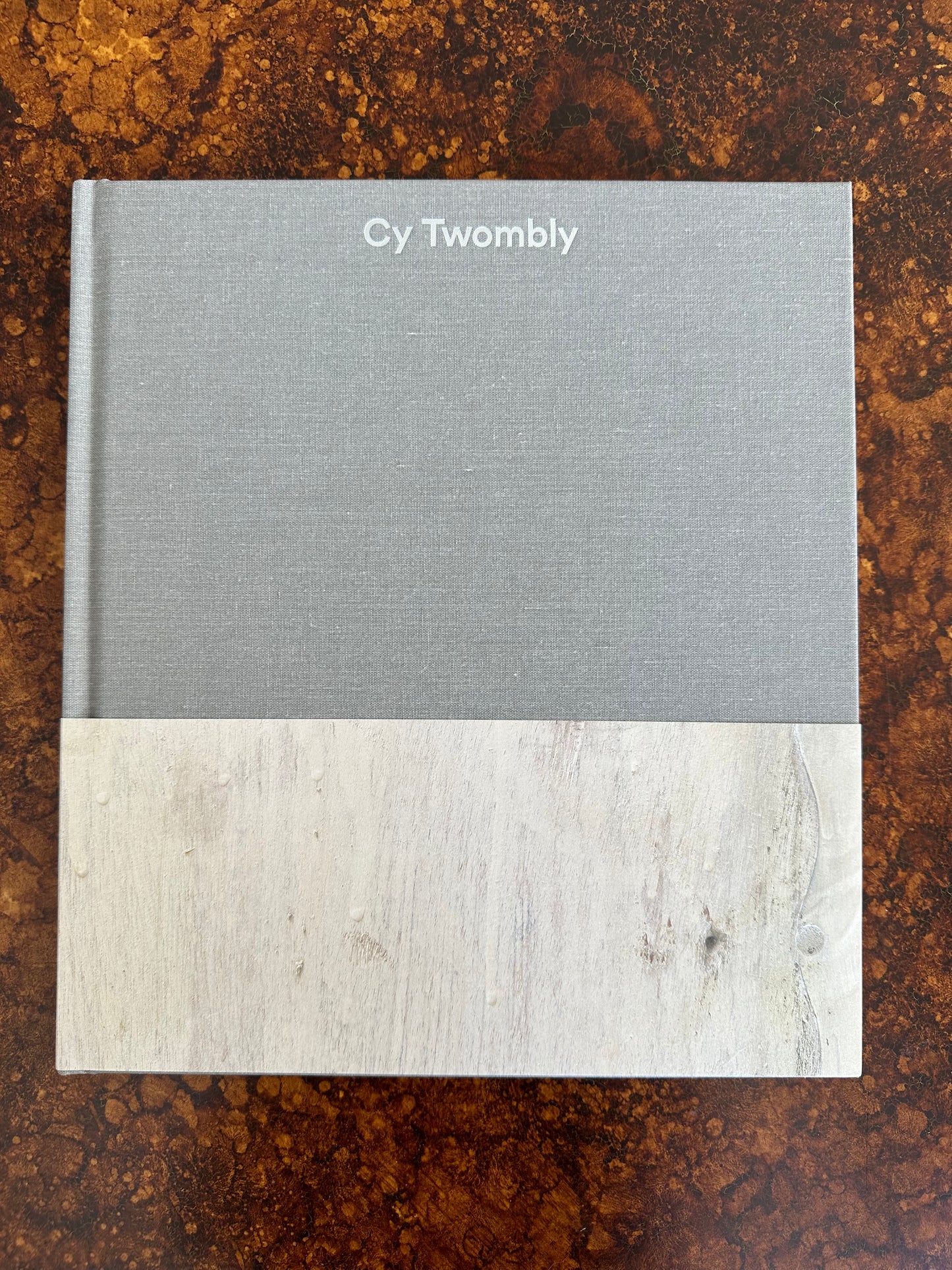 Cy Twombly Book